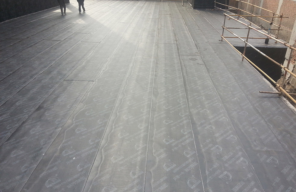 Bwin必赢亚洲·(中国集团)官方网站