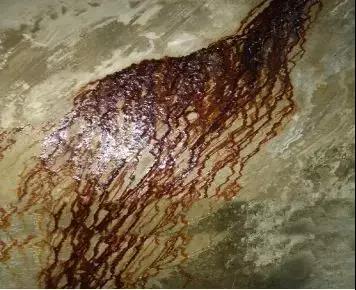 Bwin必赢亚洲·(中国集团)官方网站