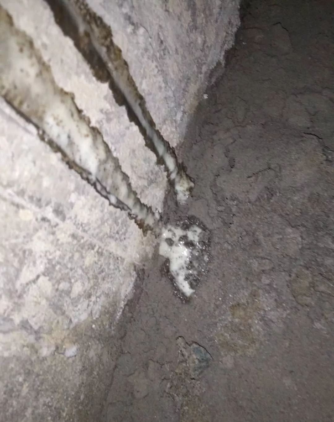 Bwin必赢亚洲·(中国集团)官方网站