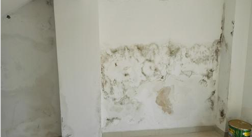 Bwin必赢亚洲·(中国集团)官方网站