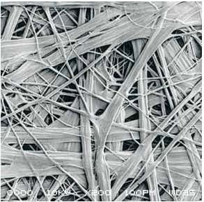 Bwin必赢亚洲·(中国集团)官方网站