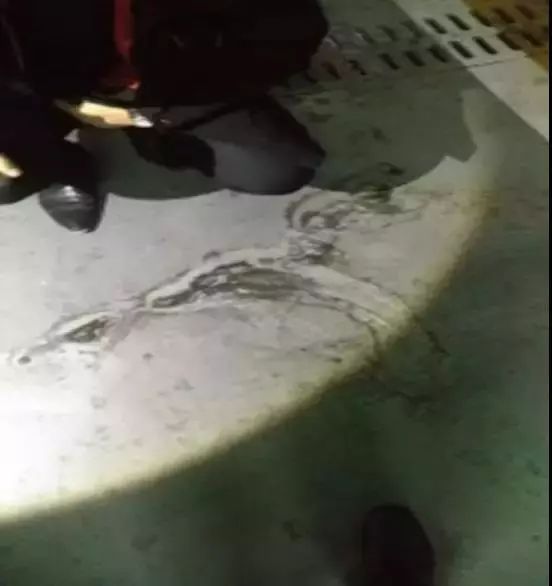 Bwin必赢亚洲·(中国集团)官方网站