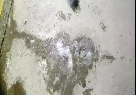 Bwin必赢亚洲·(中国集团)官方网站