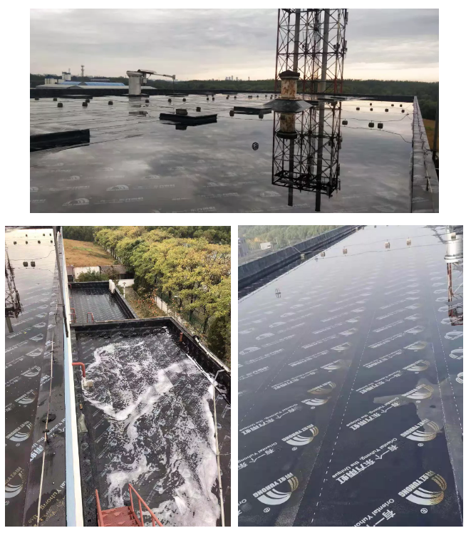 Bwin必赢亚洲·(中国集团)官方网站