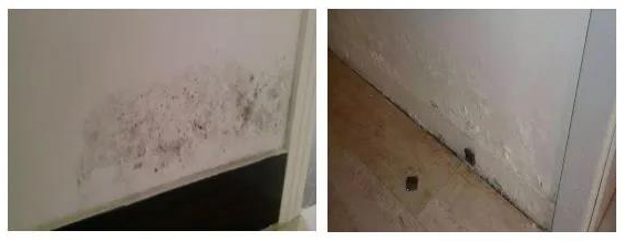 Bwin必赢亚洲·(中国集团)官方网站