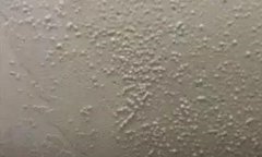 Bwin必赢亚洲·(中国集团)官方网站