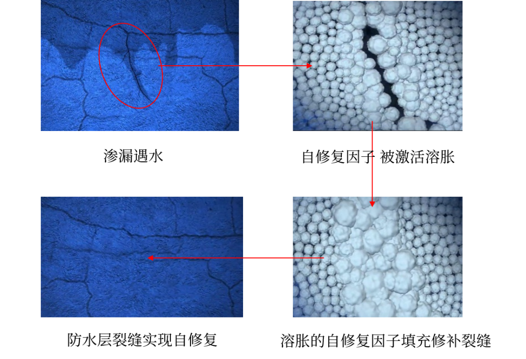 Bwin必赢亚洲·(中国集团)官方网站